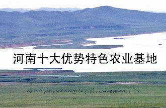 8月19日，河南省政府發(fā)布了關(guān)于深入推進農(nóng)業(yè)供給側(cè)結(jié)構(gòu)性改革 大力發(fā)展優(yōu)勢特色農(nóng)業(yè)的意見