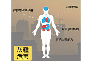 空氣中PM2.5 是由什么物質(zhì)組成的？